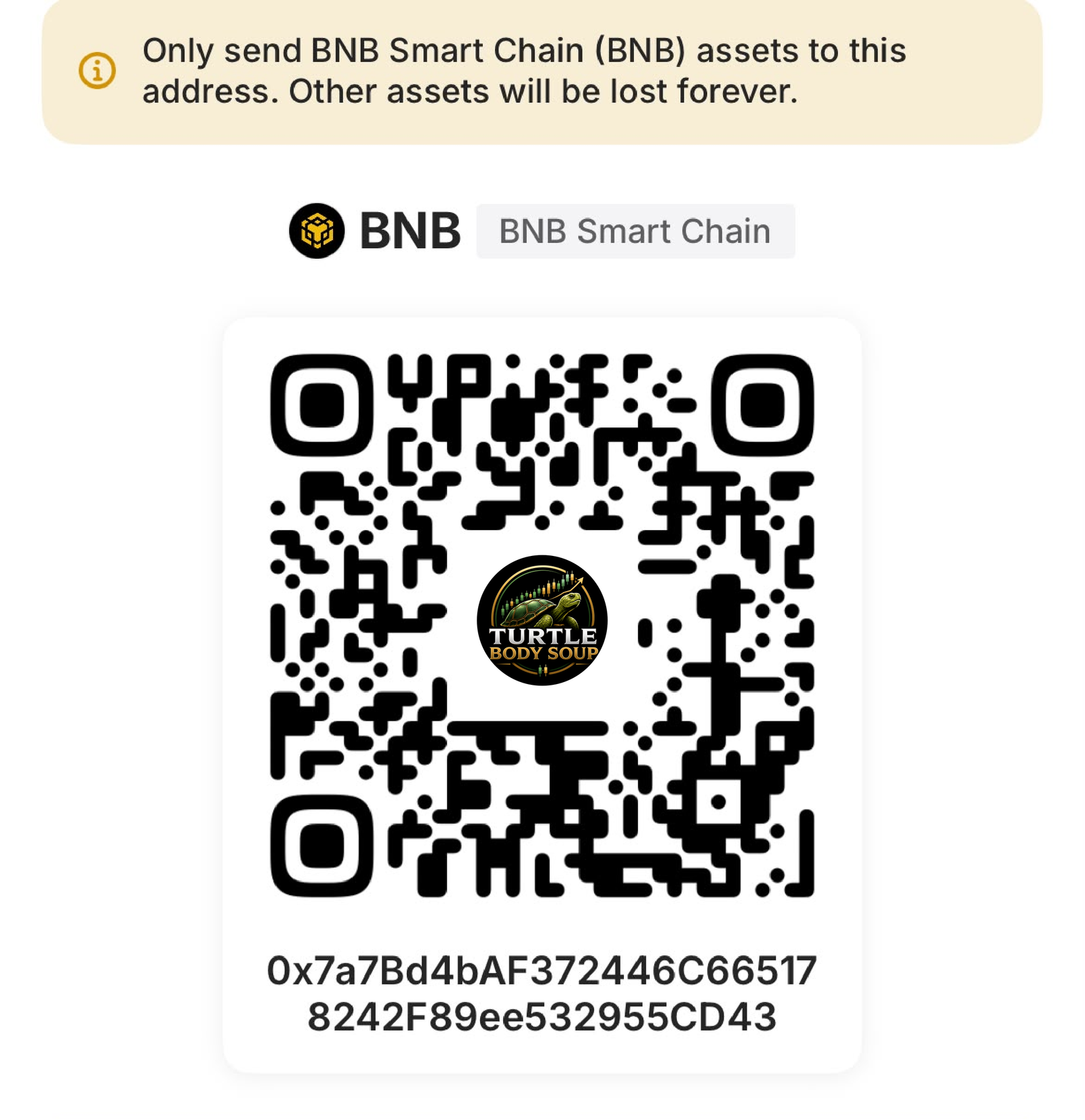 BNB Smart Chain QR Code